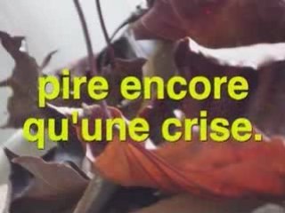 2009 l'année astronomique !