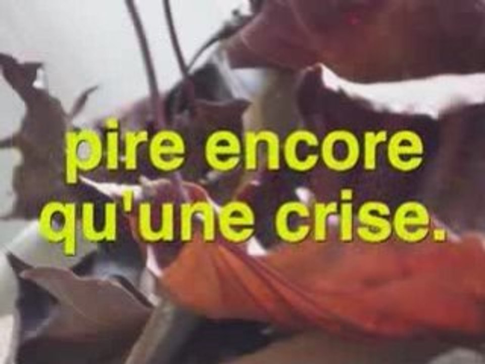 2009 l'année astronomique !