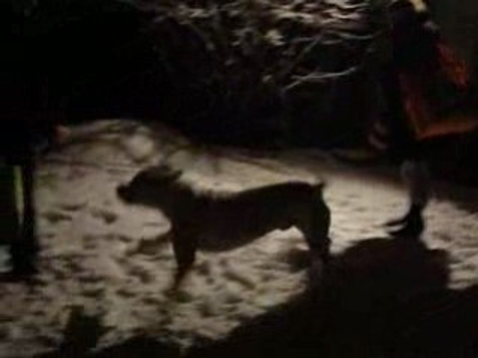 MOV01696
