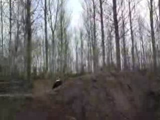 petit saut en dirt
