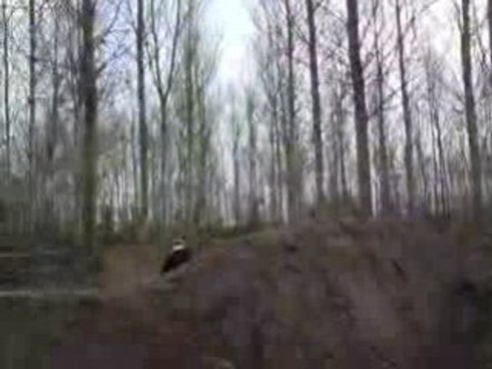 petit saut en dirt