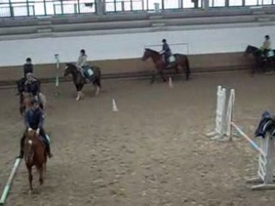Cours d'équitation CHV, Galop en bazard et presque chute