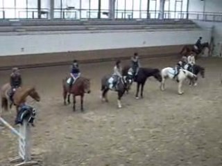 Galop de Galopin et Origan, petit pétage de plomb CHV