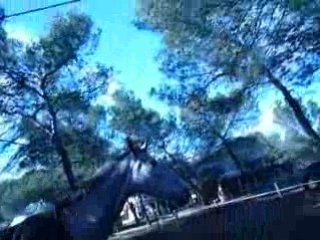 loli qui fais lendouille