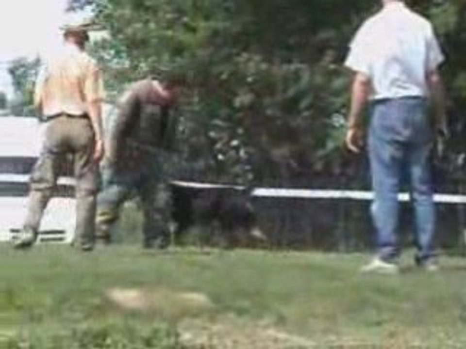 Artzain concours ring st martin