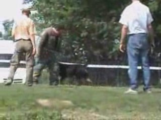 Artzain concours ring st martin