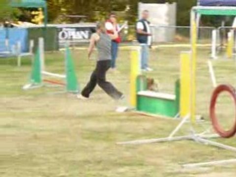 Venise agility st nazaire