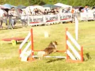 finale GPF venise agility