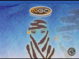 Rallye des Papillons 2008 Introduction