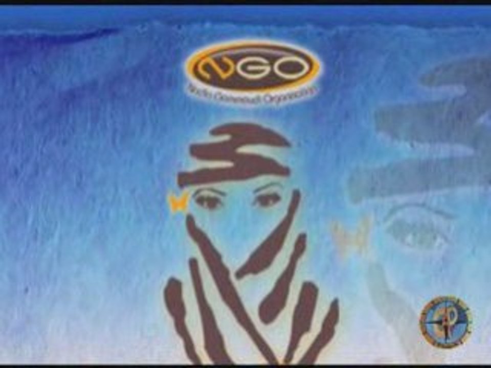 Rallye des Papillons 2008 Introduction