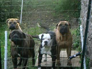 vénus, utopie, tea time et spike