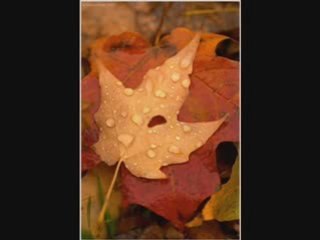 Κουμιώτη -Το κερί μας έσβησε-