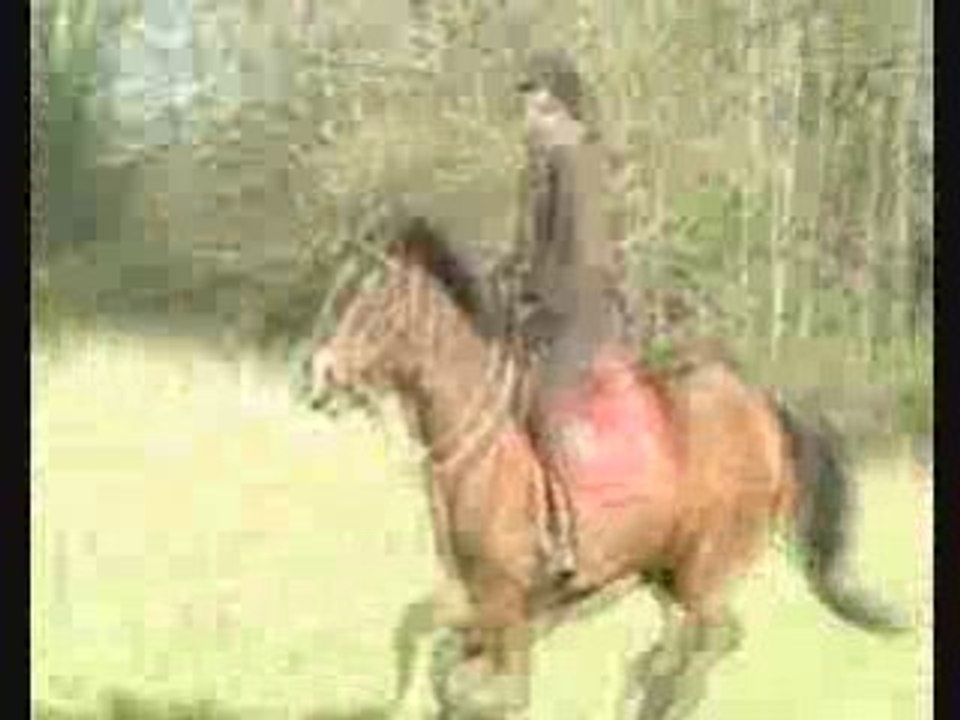Chute