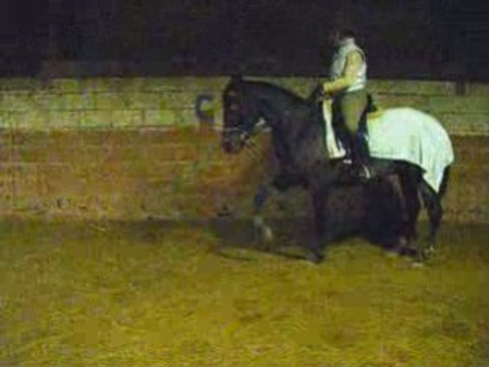 Querelle fait son show_0001