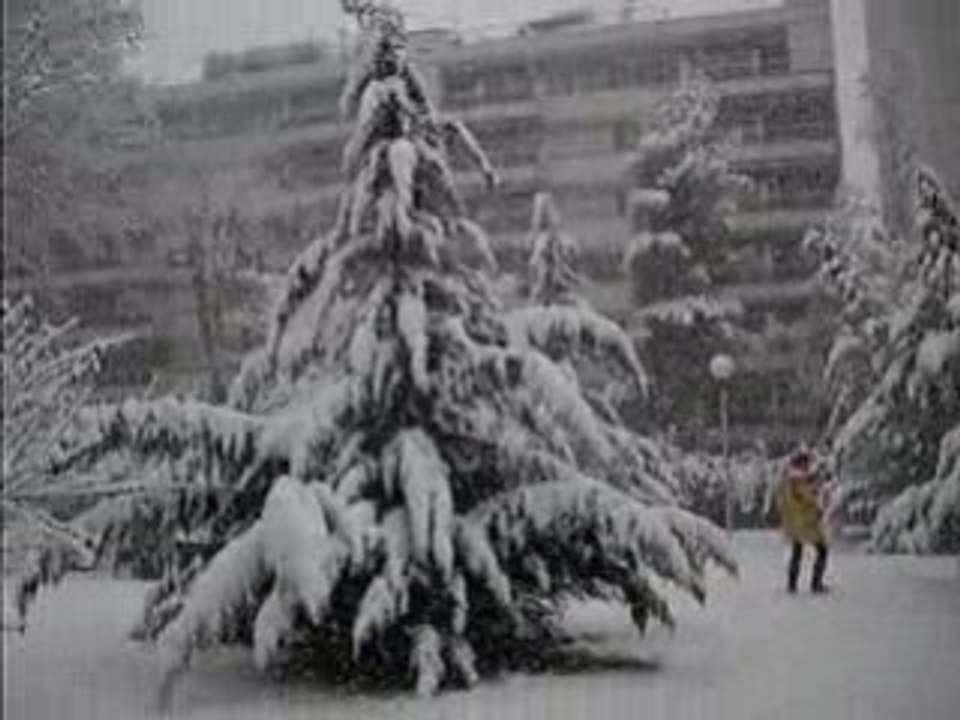le parc sous la neige
