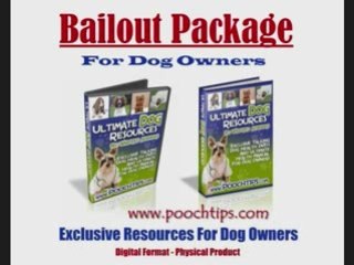 Dog House Training Tips