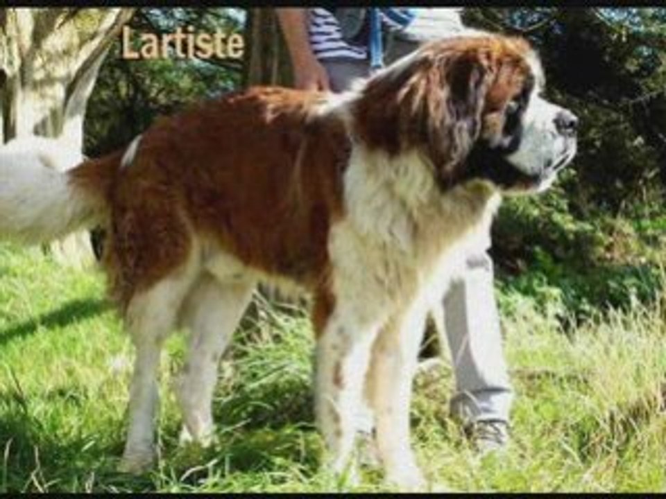 Adoptés081_0001