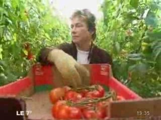 Grand Froid : Saison rude pour les maraichers