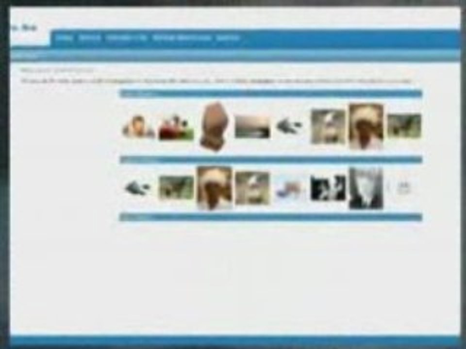 Web Design Development and Custom Programming