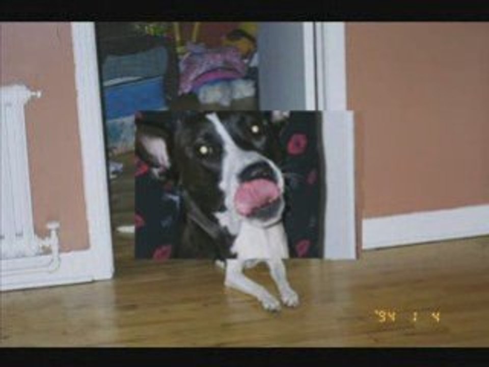 Vidéo souvenir pour Martin et Vicky