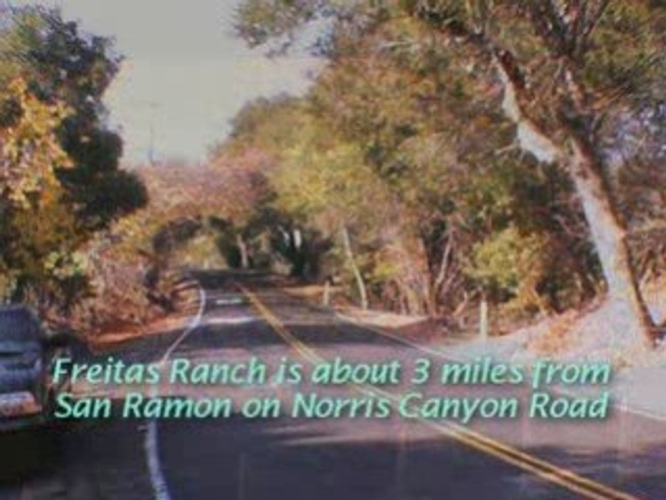 Real Estate, Danville San Ramon stunning 117 acres For Sale