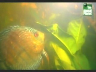 Equator-The-River-of-the-Sun-04