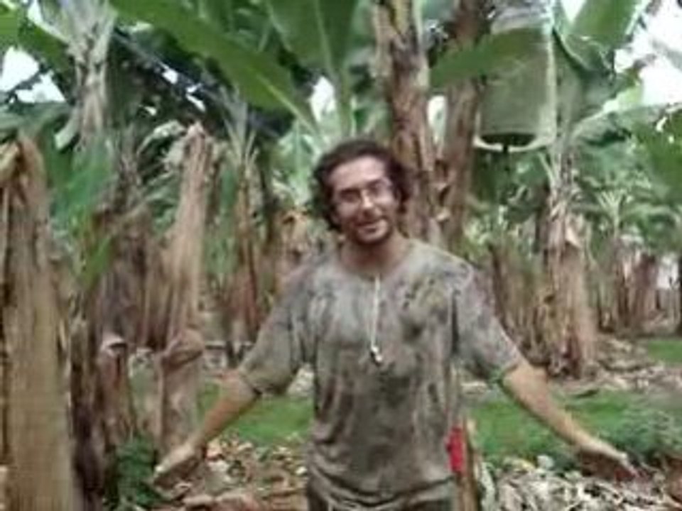 Leçon de kung fu de monsieur banane numéro 9