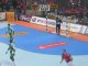 Resume Danemark - Hongrie: Mondial de Handball 2007