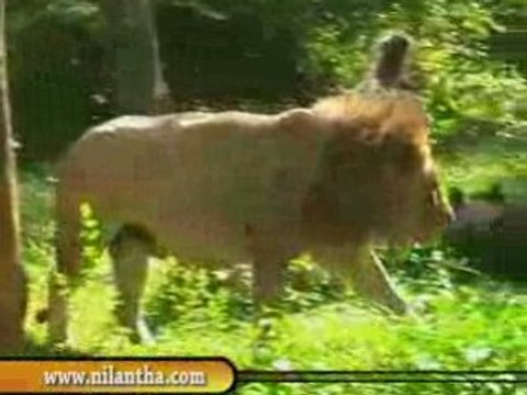 sri lanka National zoological gardens Dehiwala