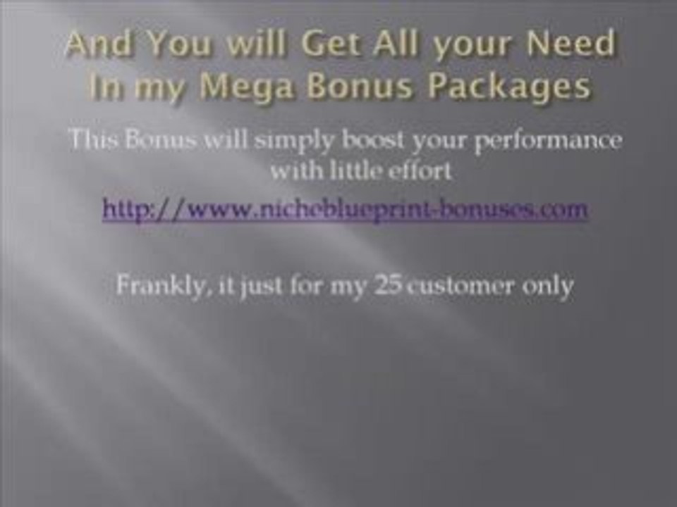 Niche Blueprint Bonus - $6,000 mega bonus packages