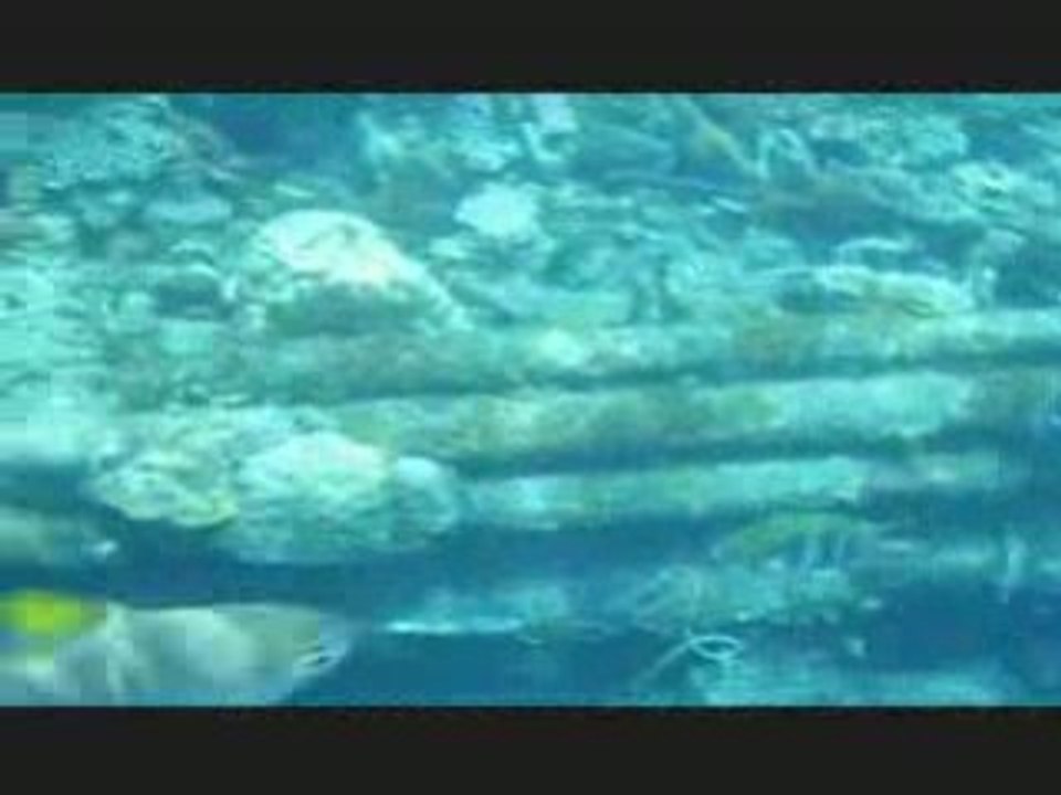 Shipwreck Footage at Marine Park, Redang Island, Malaysia