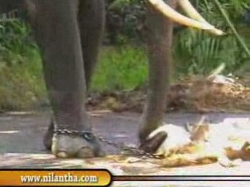 sri lanka-Temple of the Tooth, Kandy