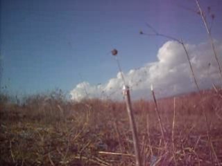 Stoeger x20 4,5mm fantazi atışları 1 , 10 mt iğne ye