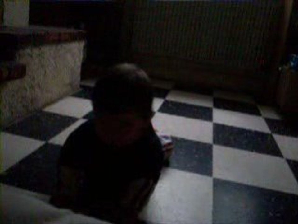 Quatre pattes de tonin