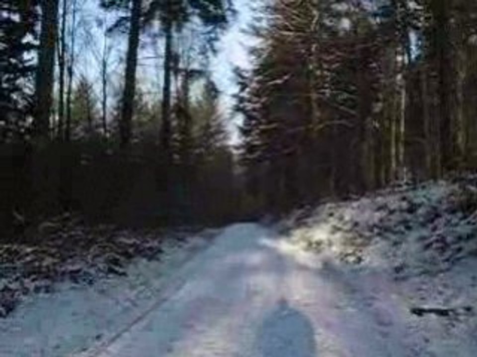 Winter in bergwald