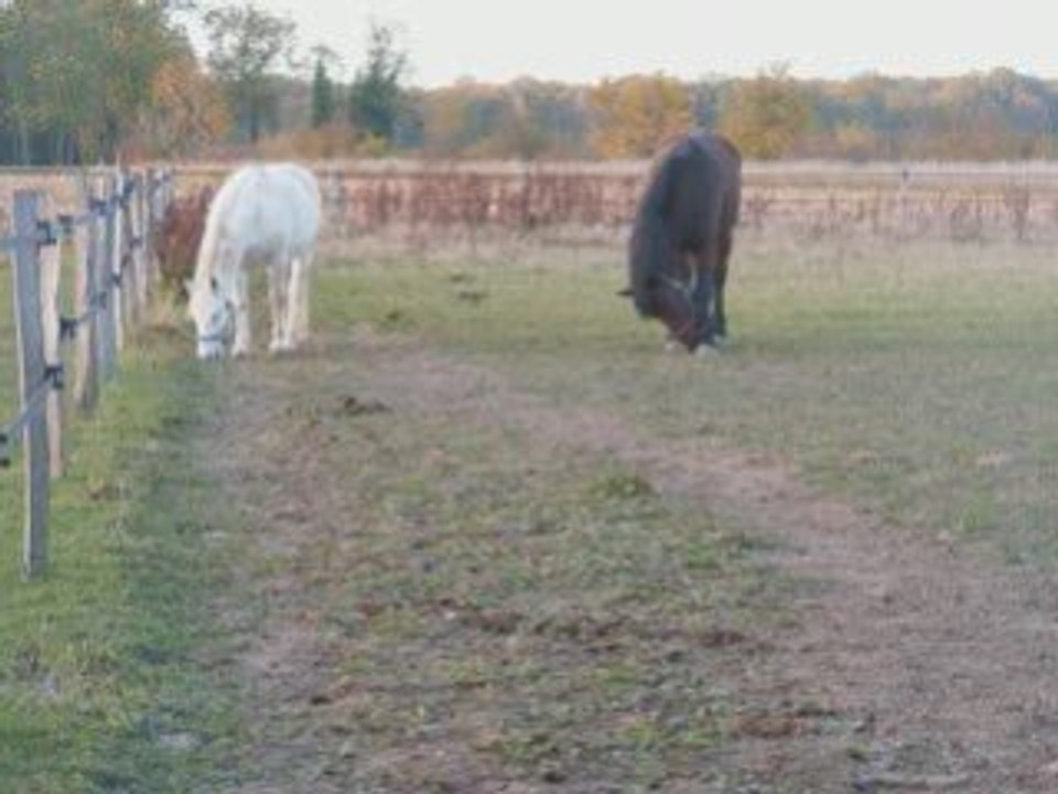 Plus que quelques mois ... ='(