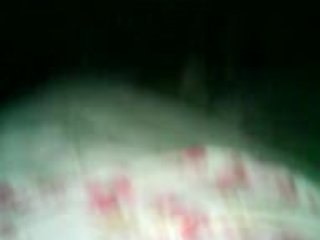 jack russel ne veut pas dormir