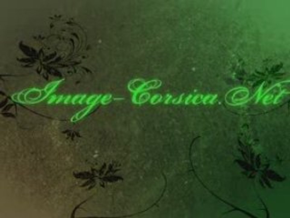 Image Corsica Net