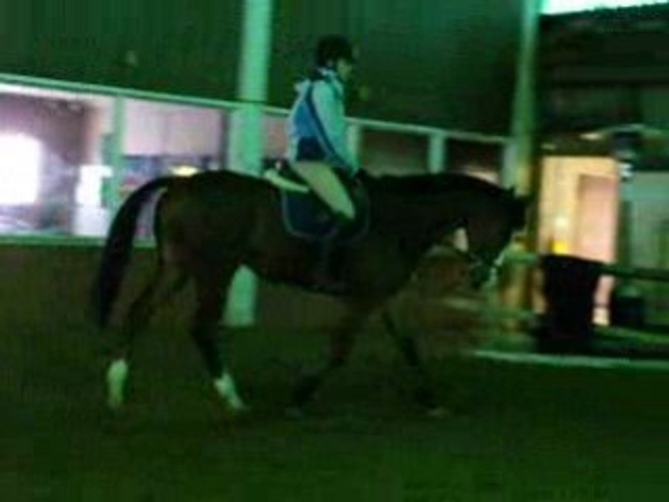 Galop en cercle avec Bailey's