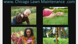 Chicago Lawn Service Companyand Irrigation