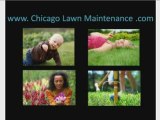 Chicago Lawn Service Companyand Irrigation