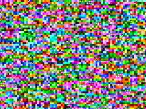 Arizona - Flat Broke And Joining Cash Gifting Programs