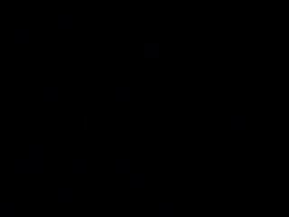 MOV03546