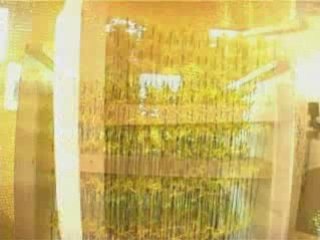 Exposition: Le Renouveau du Temps à la Maison Guerlain