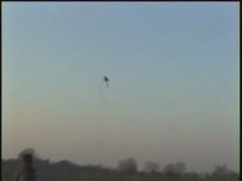 Vole 3d t rex 600 n pro