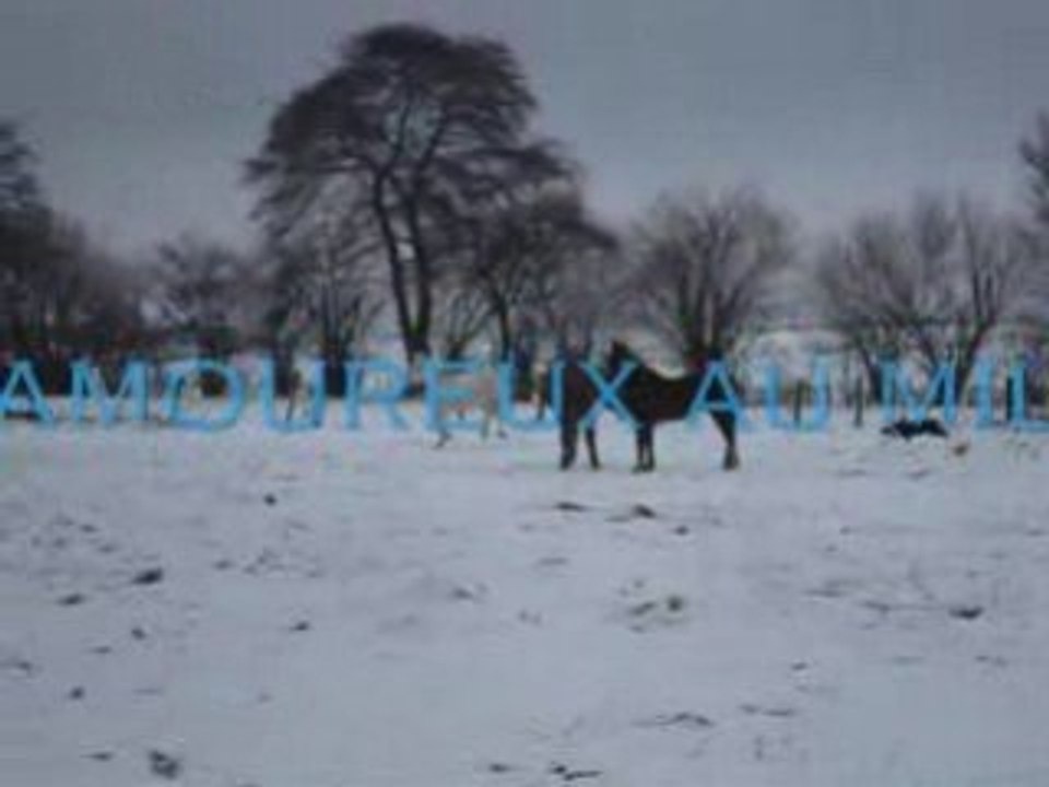 Le 7 janvier 2009