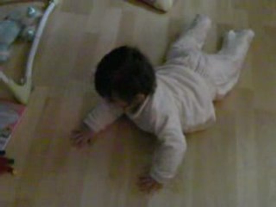 shanna 4 pattes 1.... janvier 2009