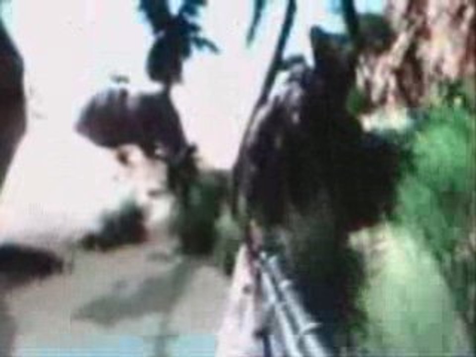 Far Cry 2- Southeast Oasis
