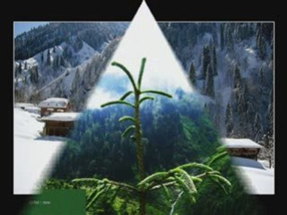 Ayder-mustafa gökhan birben-kavrun.tr.gg