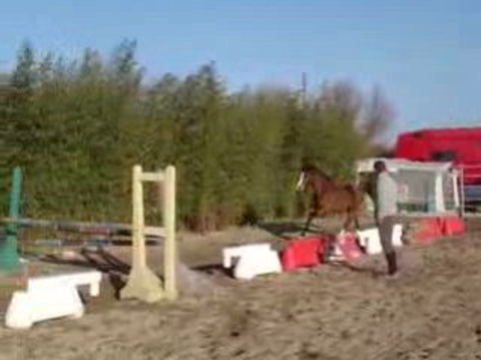 MOV01572